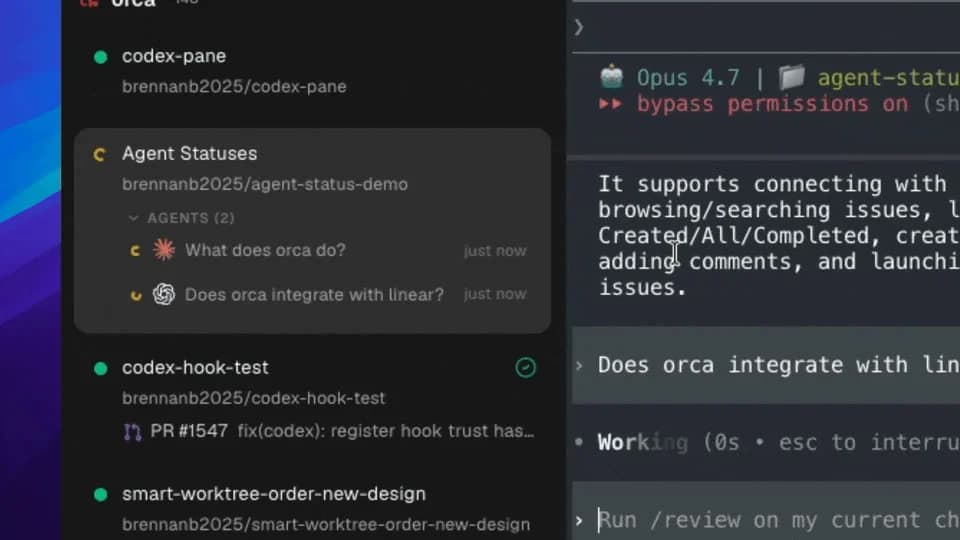 Orca interface screenshot