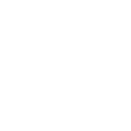 Paseo logo